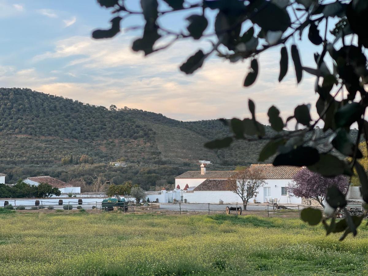 בית הארחה Alanís 	Cortijo Huerta Galindo מראה חיצוני תמונה