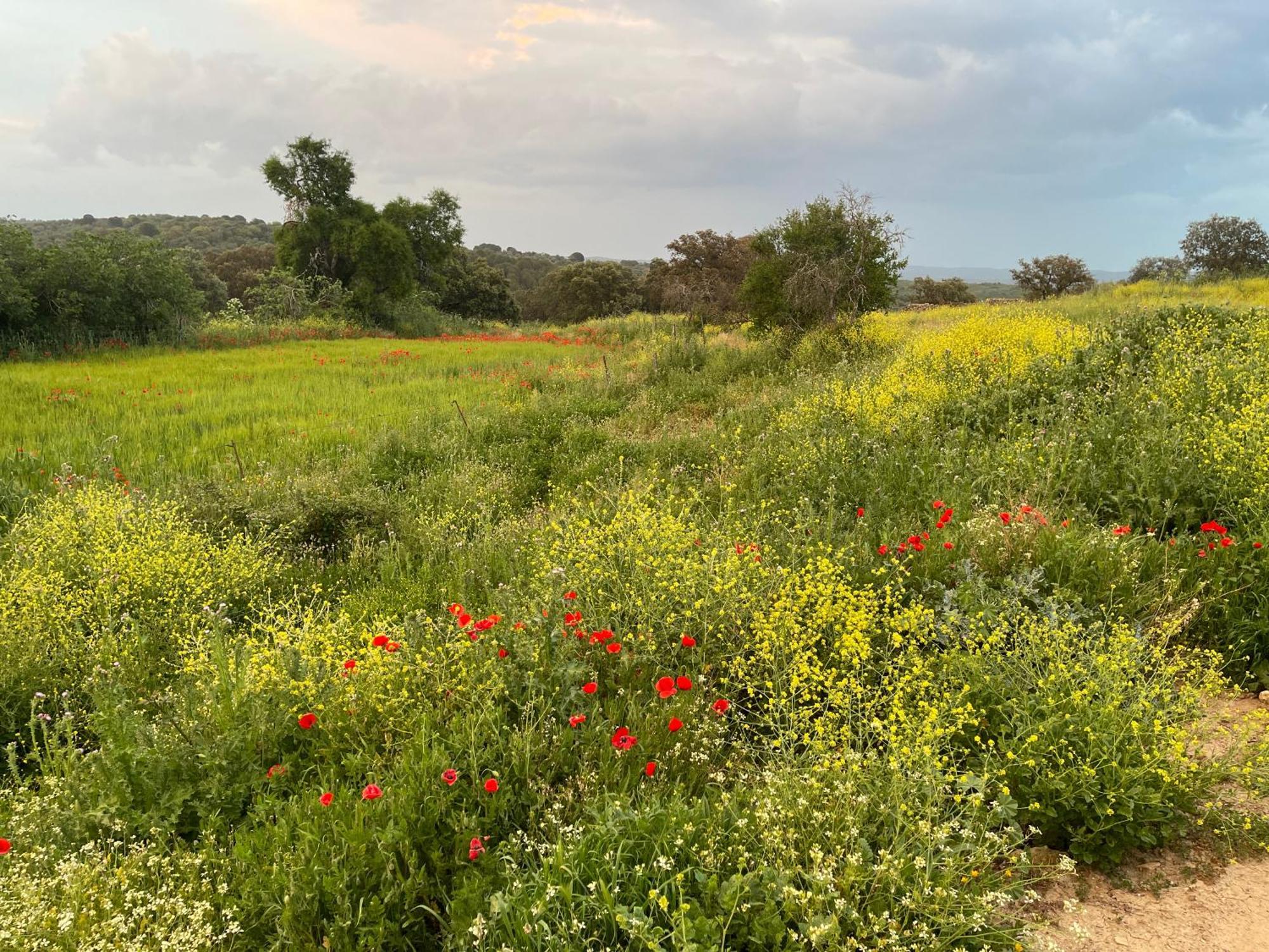 בית הארחה Alanís 	Cortijo Huerta Galindo מראה חיצוני תמונה